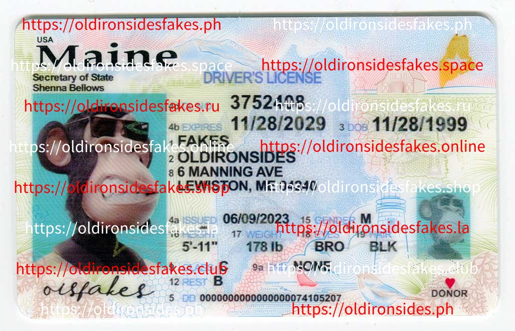 maine-driver-licensenew-me
