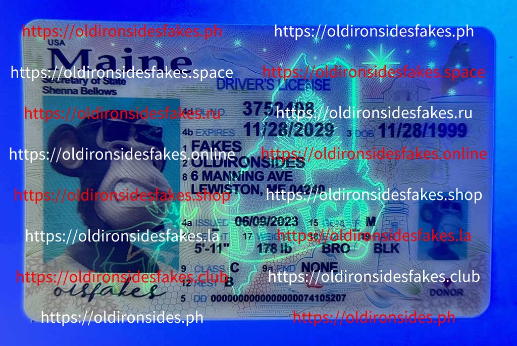 maine-driver-licensenew-me